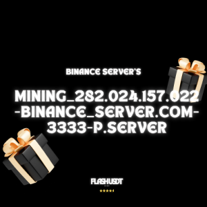 mining_282.024.157.022-binance_server.com-3333-P.server